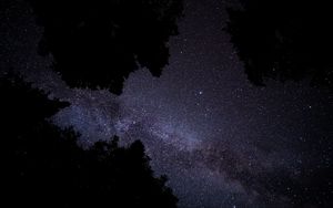 Preview wallpaper milky way, stars, starry sky, trees, night, dark