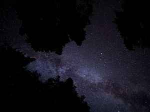 Preview wallpaper milky way, stars, starry sky, trees, night, dark