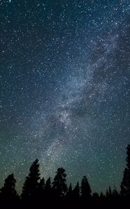 Preview wallpaper milky way, stars, starry sky, night, trees