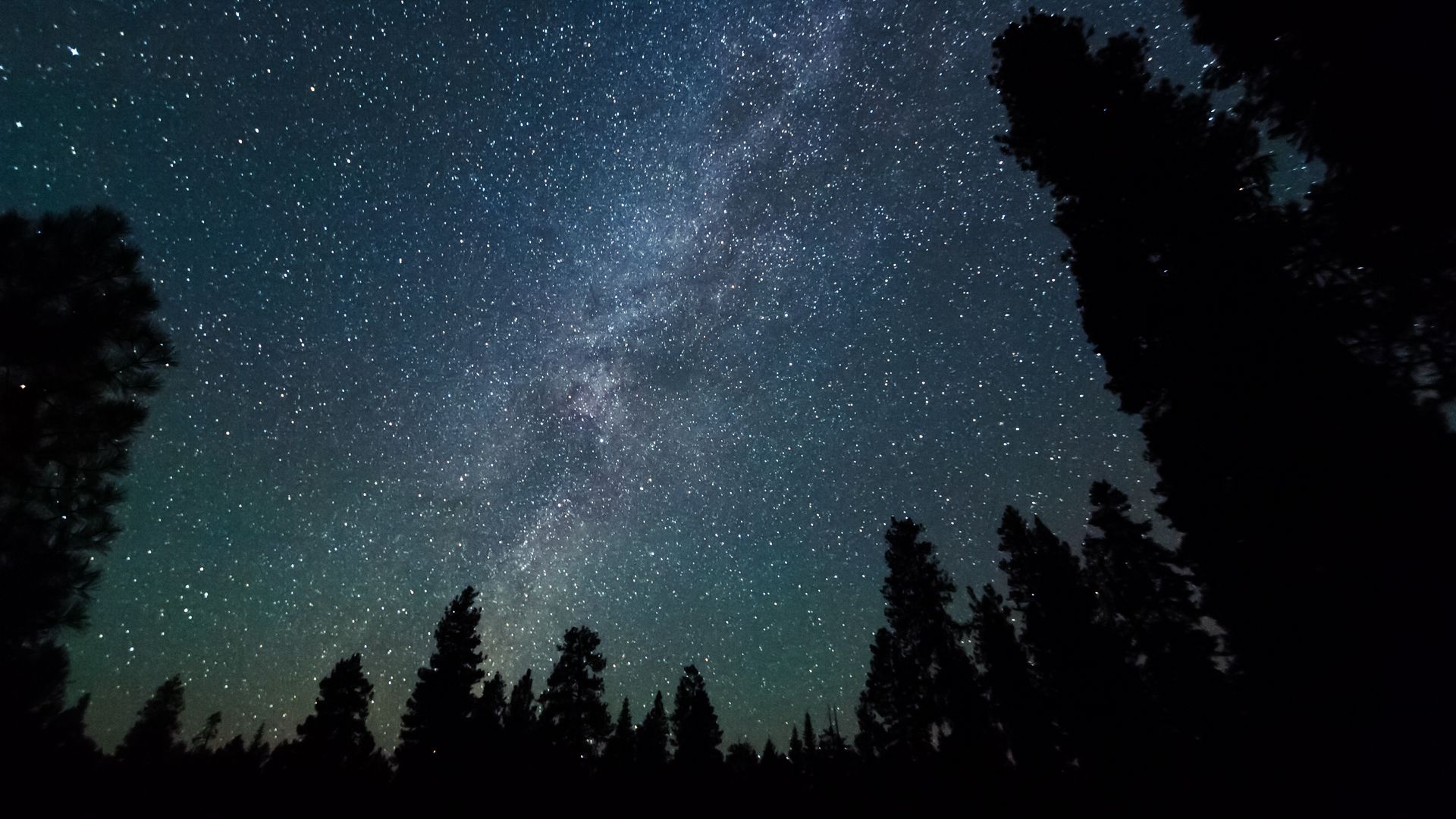 Download wallpaper 1920x1080 milky way, stars, starry sky, night, trees