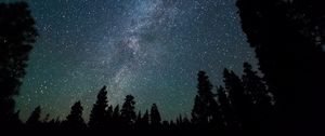Preview wallpaper milky way, stars, starry sky, night, trees