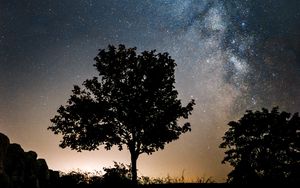 Preview wallpaper milky way, stars, trees, silhouettes, night, nature