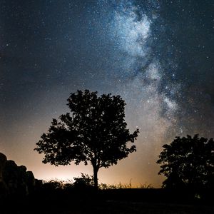Preview wallpaper milky way, stars, trees, silhouettes, night, nature
