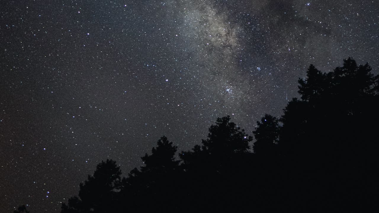 Wallpaper milky way, stars, trees, sky, night, dark
