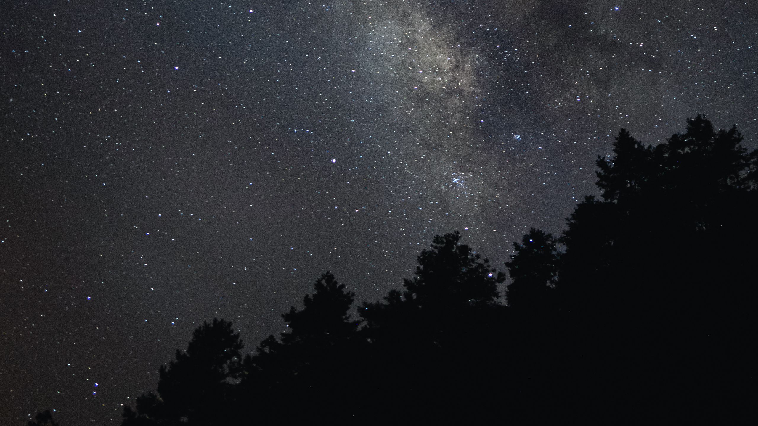 Download wallpaper 2560x1440 milky way, stars, trees, sky, night, dark ...