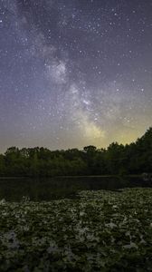 Preview wallpaper milky way, stars, trees, lake, night, landscape