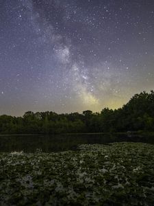 Preview wallpaper milky way, stars, trees, lake, night, landscape