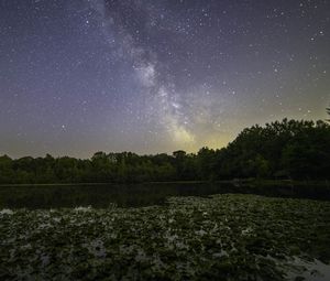 Preview wallpaper milky way, stars, trees, lake, night, landscape