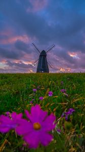 Preview wallpaper mill, field, horizon, clouds, nature, flowers