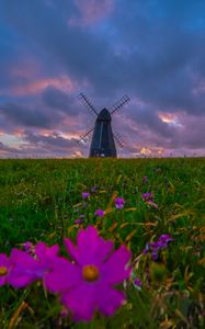 Preview wallpaper mill, field, horizon, clouds, nature, flowers