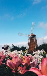 Preview wallpaper mill, lilies, flowers, building