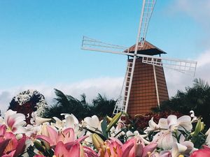 Preview wallpaper mill, lilies, flowers, building