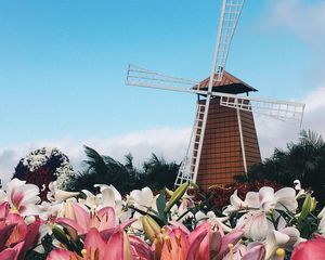 Preview wallpaper mill, lilies, flowers, building