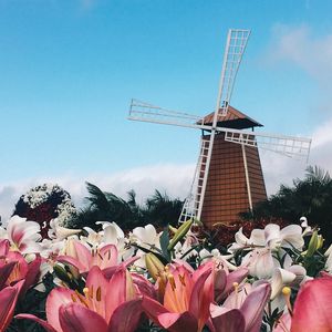 Preview wallpaper mill, lilies, flowers, building