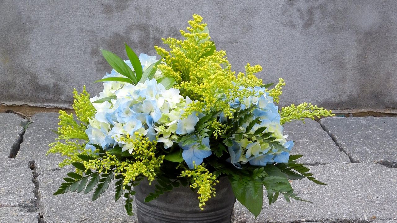 Wallpaper mimosa, hydrangea, bouquet, bucket, asphalt