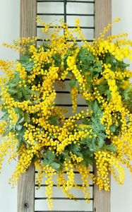 Preview wallpaper mimosa, wreath, yellow, wall