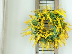 Preview wallpaper mimosa, wreath, yellow, wall