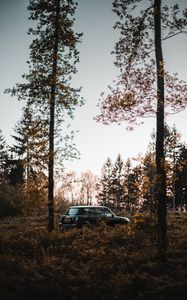 Preview wallpaper mini cooper, mini, car, black, trees