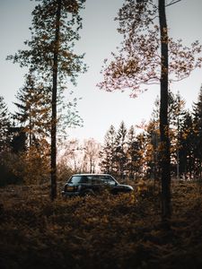 Preview wallpaper mini cooper, mini, car, black, trees