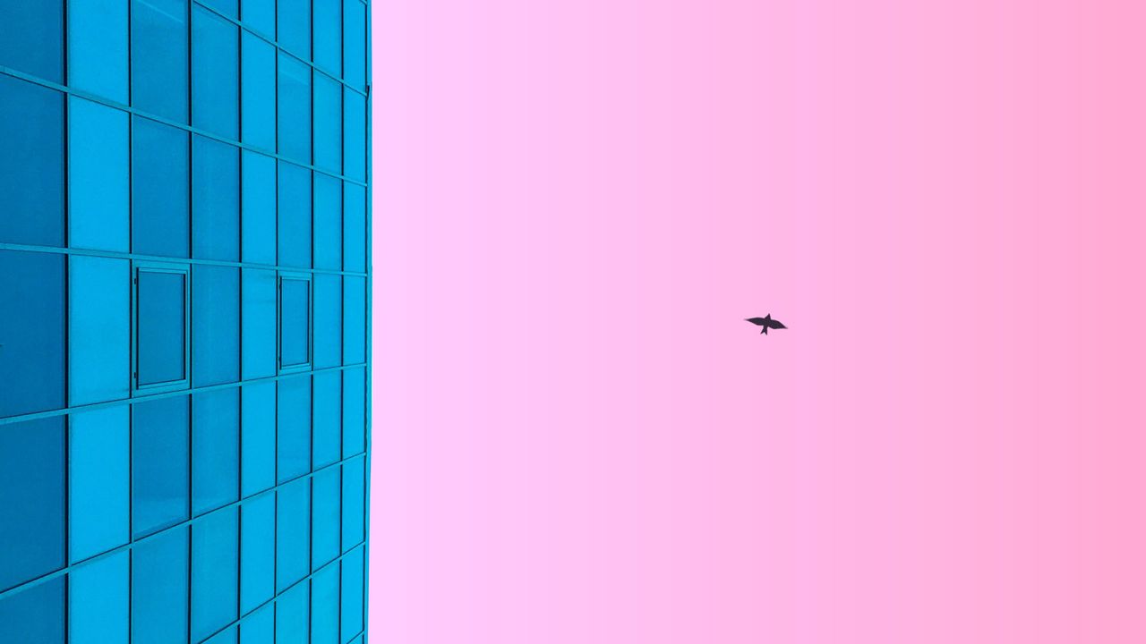Wallpaper minimalism, blue, pink, building, sky, bird