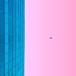 Preview wallpaper minimalism, blue, pink, building, sky, bird