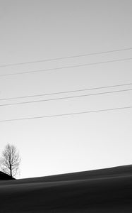 Preview wallpaper minimalism, bw, wires, tree