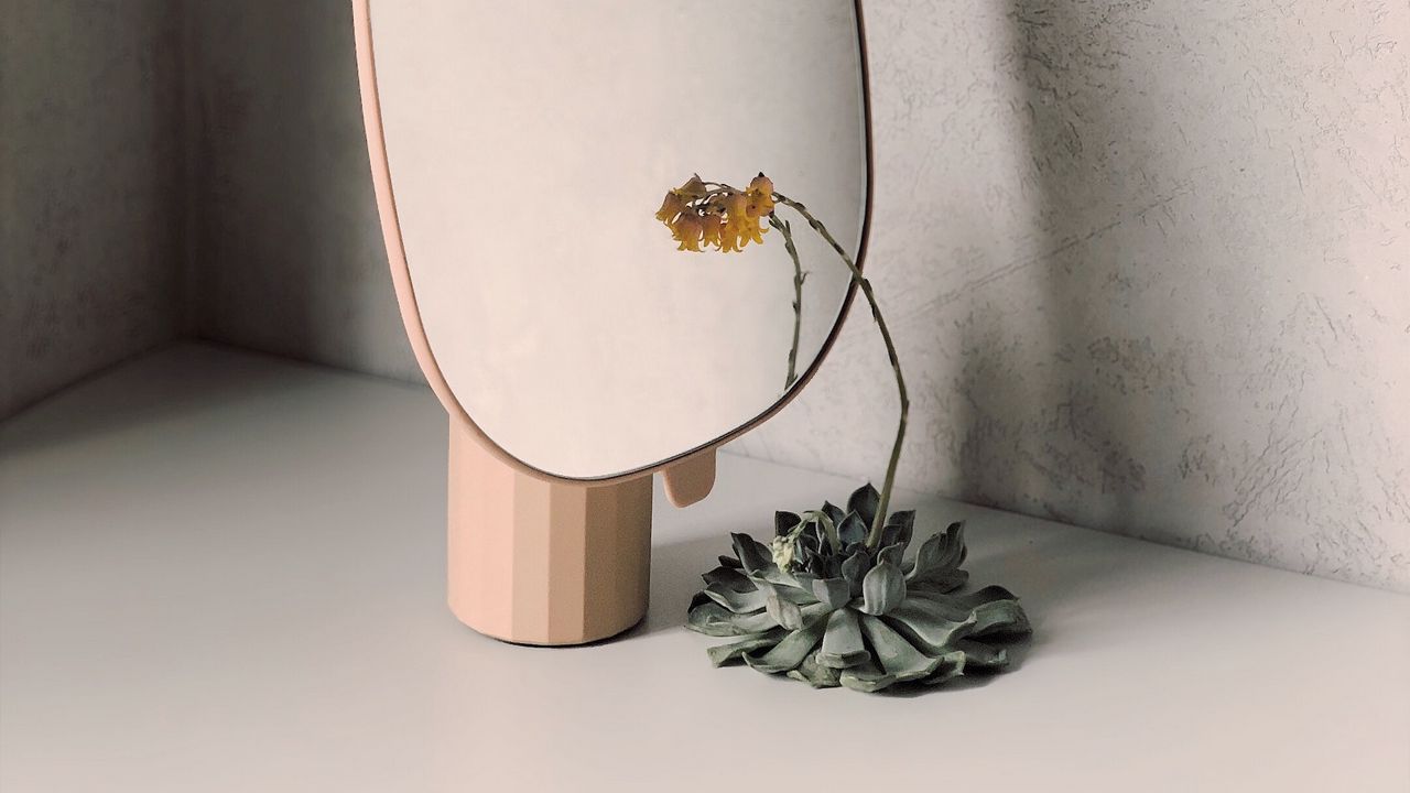 Wallpaper mirror, flower, reflection, minimalism