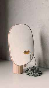 Preview wallpaper mirror, flower, reflection, minimalism