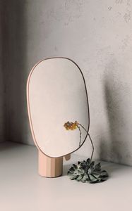 Preview wallpaper mirror, flower, reflection, minimalism