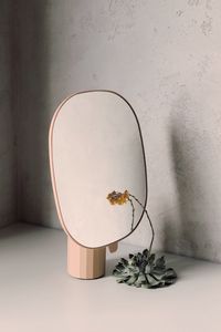 Preview wallpaper mirror, flower, reflection, minimalism