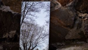 Preview wallpaper mirror, trees, reflection