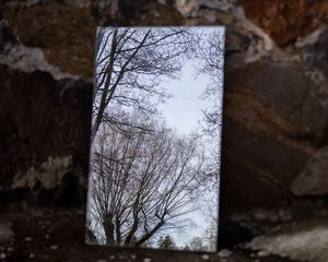 Preview wallpaper mirror, trees, reflection