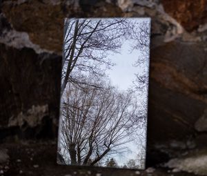 Preview wallpaper mirror, trees, reflection