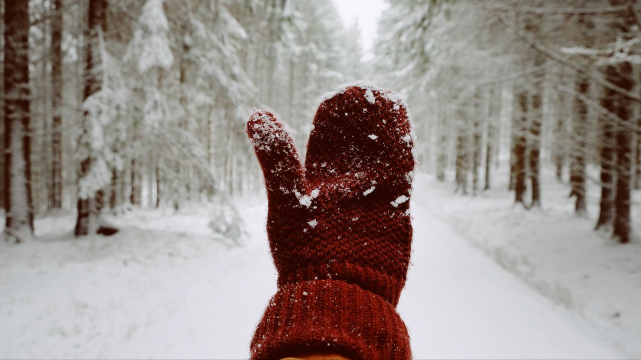 Wallpaper mitten, hand, snow, winter