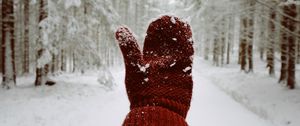 Preview wallpaper mitten, hand, snow, winter