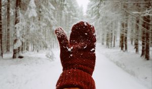 Preview wallpaper mitten, hand, snow, winter