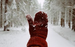 Preview wallpaper mitten, hand, snow, winter