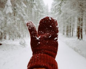 Preview wallpaper mitten, hand, snow, winter