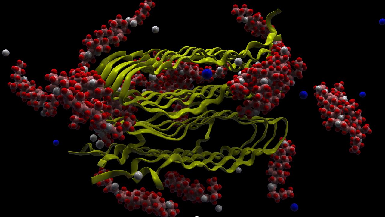 Wallpaper molecules, microorganisms, microscopic, microbiology