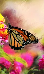 Preview wallpaper monarch, butterfly, flowers, macro, bright