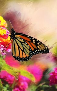 Preview wallpaper monarch, butterfly, flowers, macro, bright