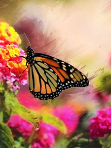 Preview wallpaper monarch, butterfly, flowers, macro, bright