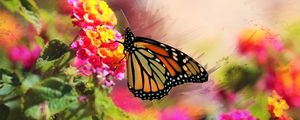 Preview wallpaper monarch, butterfly, flowers, macro, bright