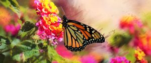 Preview wallpaper monarch, butterfly, flowers, macro, bright