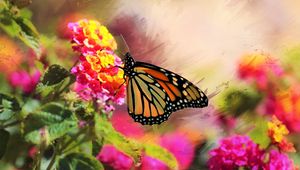 Preview wallpaper monarch, butterfly, flowers, macro, bright