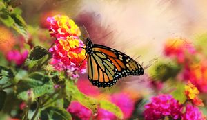 Preview wallpaper monarch, butterfly, flowers, macro, bright