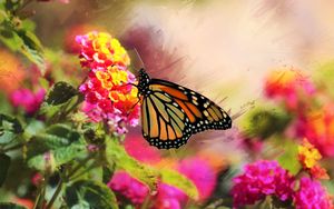 Preview wallpaper monarch, butterfly, flowers, macro, bright