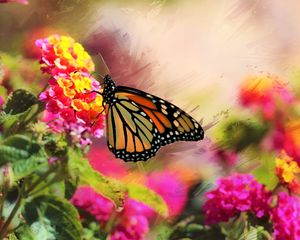 Preview wallpaper monarch, butterfly, flowers, macro, bright