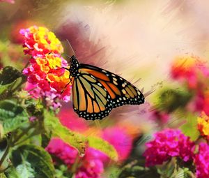 Preview wallpaper monarch, butterfly, flowers, macro, bright