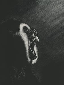 Preview wallpaper monkey, grin, art, dark